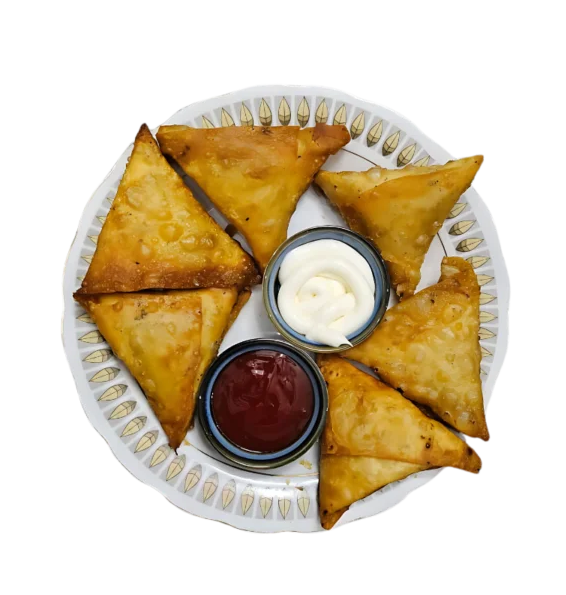 Chicken Samosa